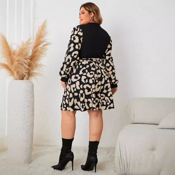 Plus Size Round Neck Multicolor Female Dress - Image 5